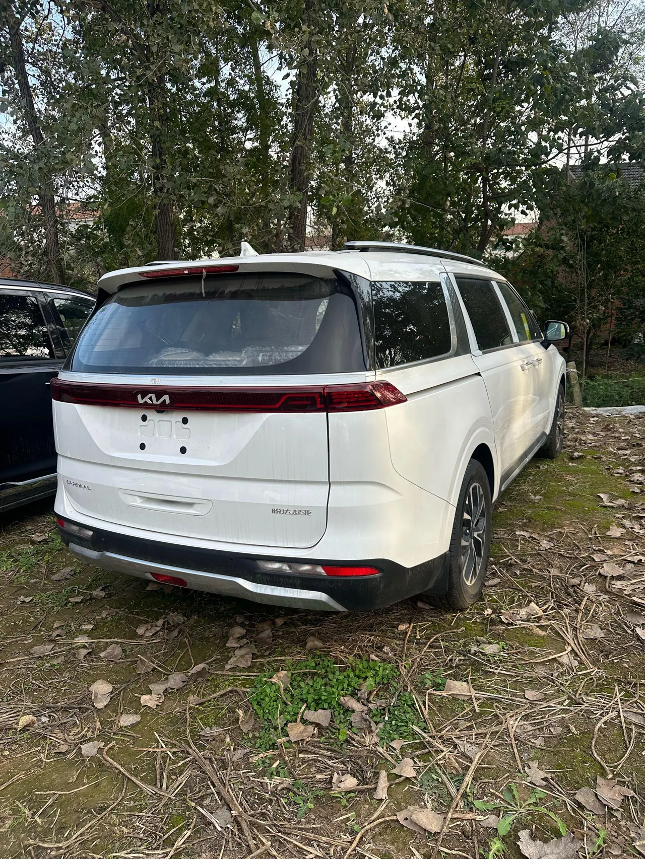 Kia 2021 Jiahua 2.0T Luxury Premium Automatic Gear 3