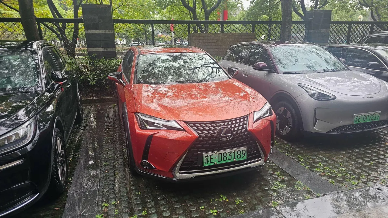 Lexus UX New Energy (Imported) 2020 UX 300e Pure Yue Edition Automatic Gear 5
