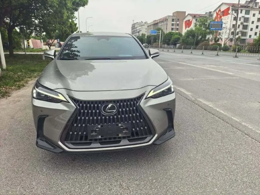 Lexus NX (Imported) 2022 NX260 2.5 Chuangchi Edition Automatic Gear 10