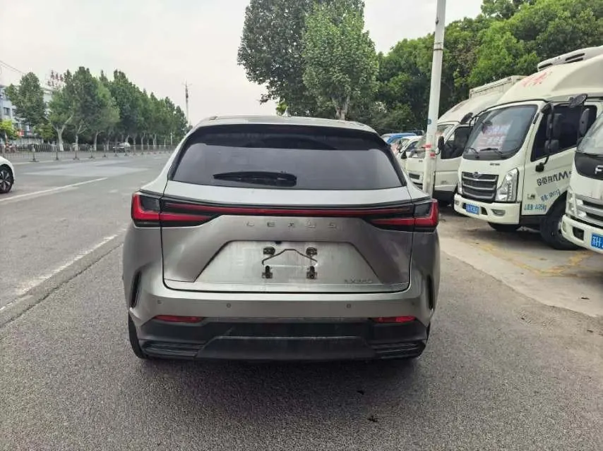 Lexus NX (Imported) 2022 NX260 2.5 Chuangchi Edition Automatic Gear 8