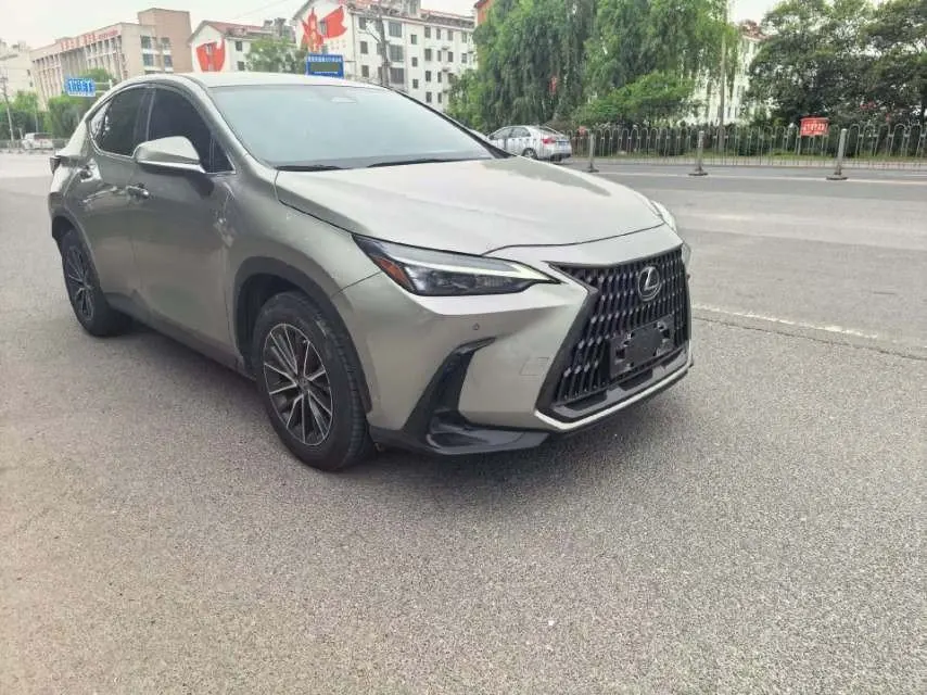 Lexus NX (Imported) 2022 NX260 2.5 Chuangchi Edition Automatic Gear 9