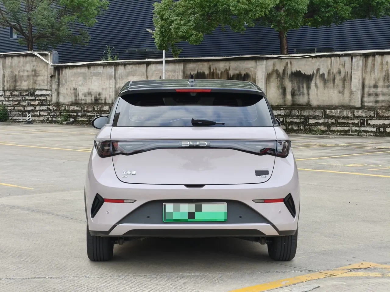 BYD 2025 Dolphin Smart Driving 410km Fashion Automatic Gear 5