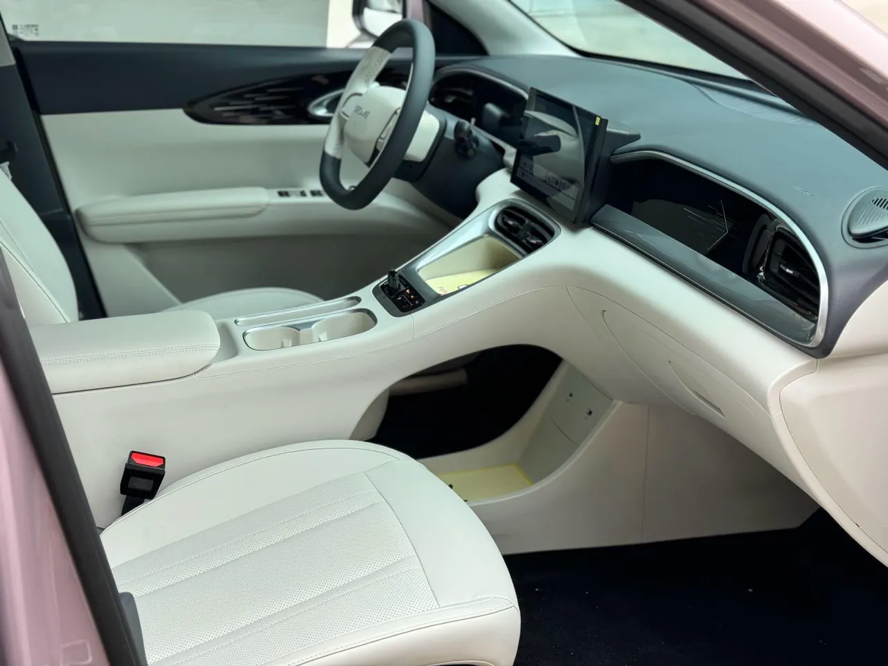 Geely 2025 Star Wish 310km Youth Edition Automatic Gear 5
