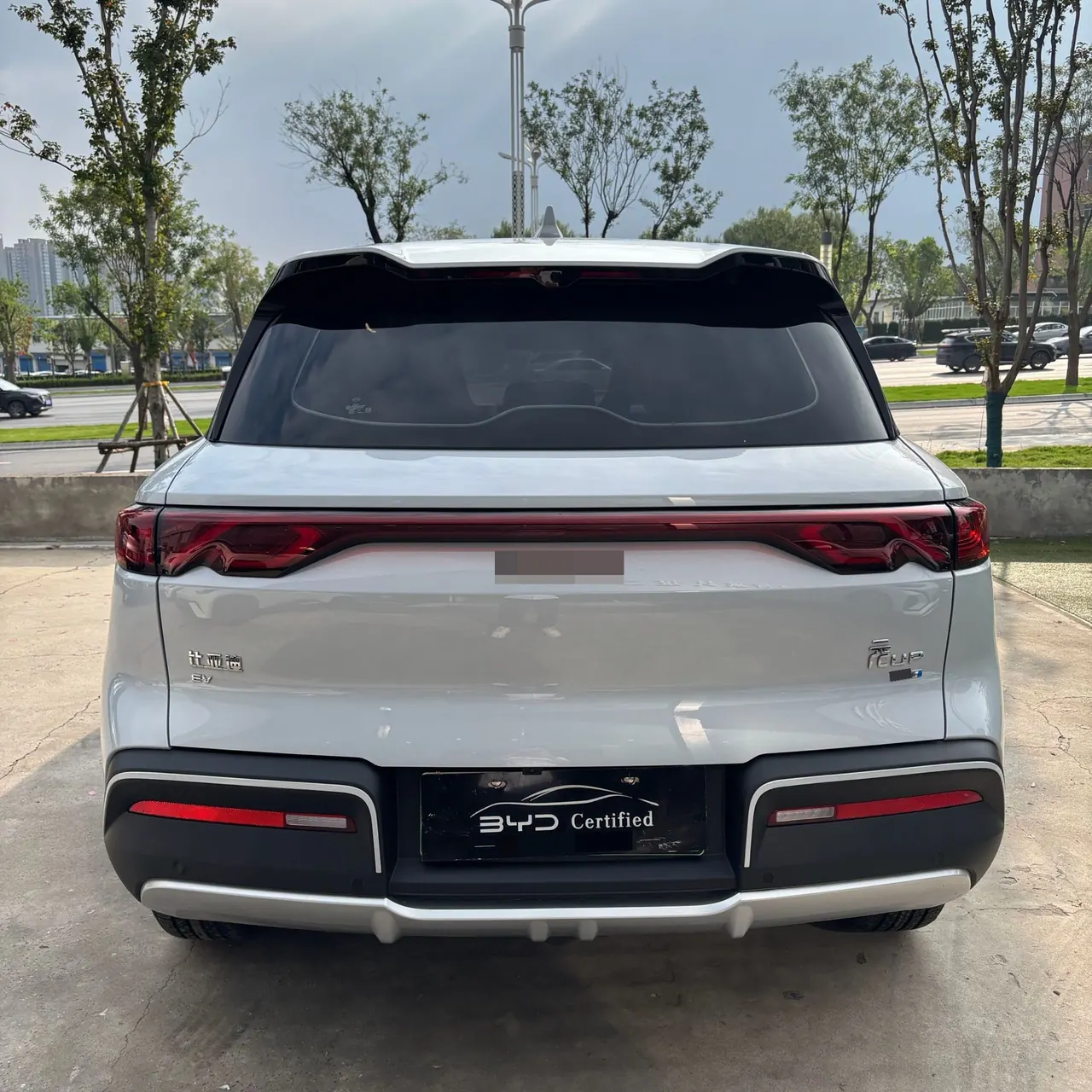 BYD 2025 Yuan UP Smart Driving 401KM Vital Automatic Gear 8