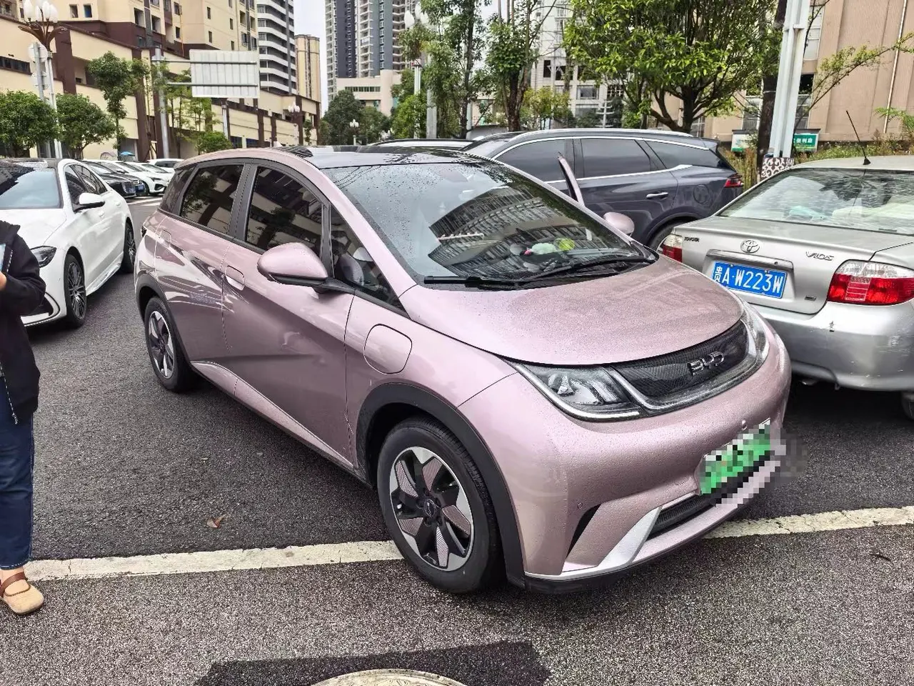 BYD 2025 Dolphin 420km Fashion Edition Automatic 2