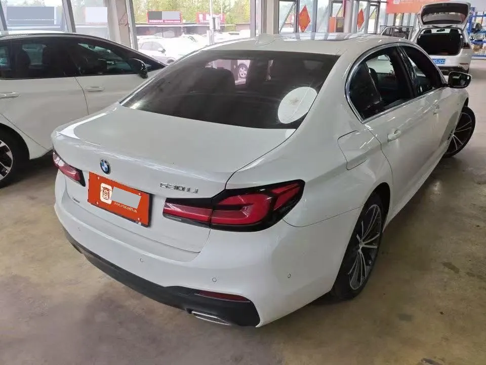 BMW 5 Series 2020 530Li 2.0T Leading M Sports Suit Automatic Gear 5