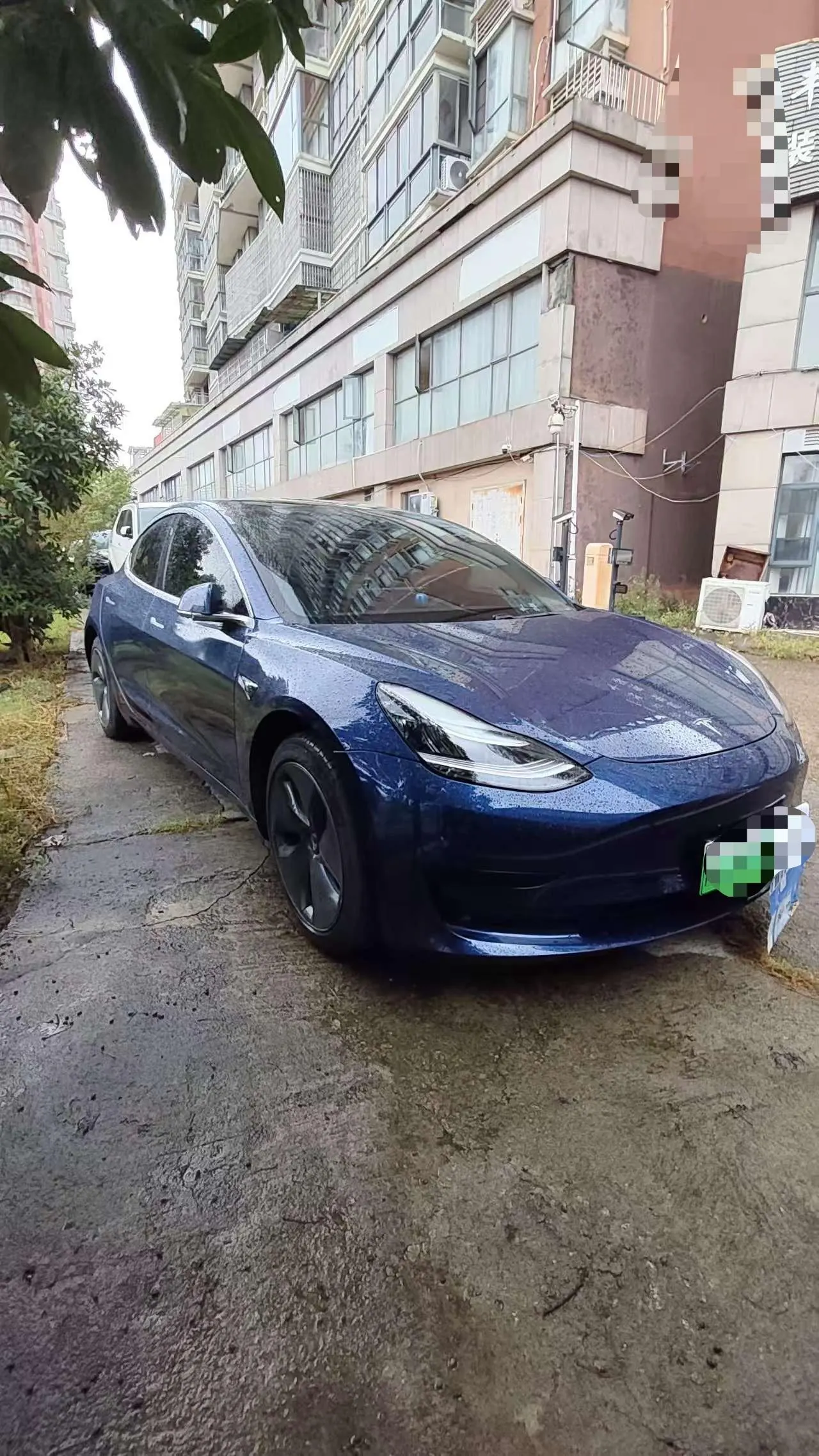 Tesla 2020 Model 3 Standard Endurance Rear Drive Upgraded Automatic Gear 2