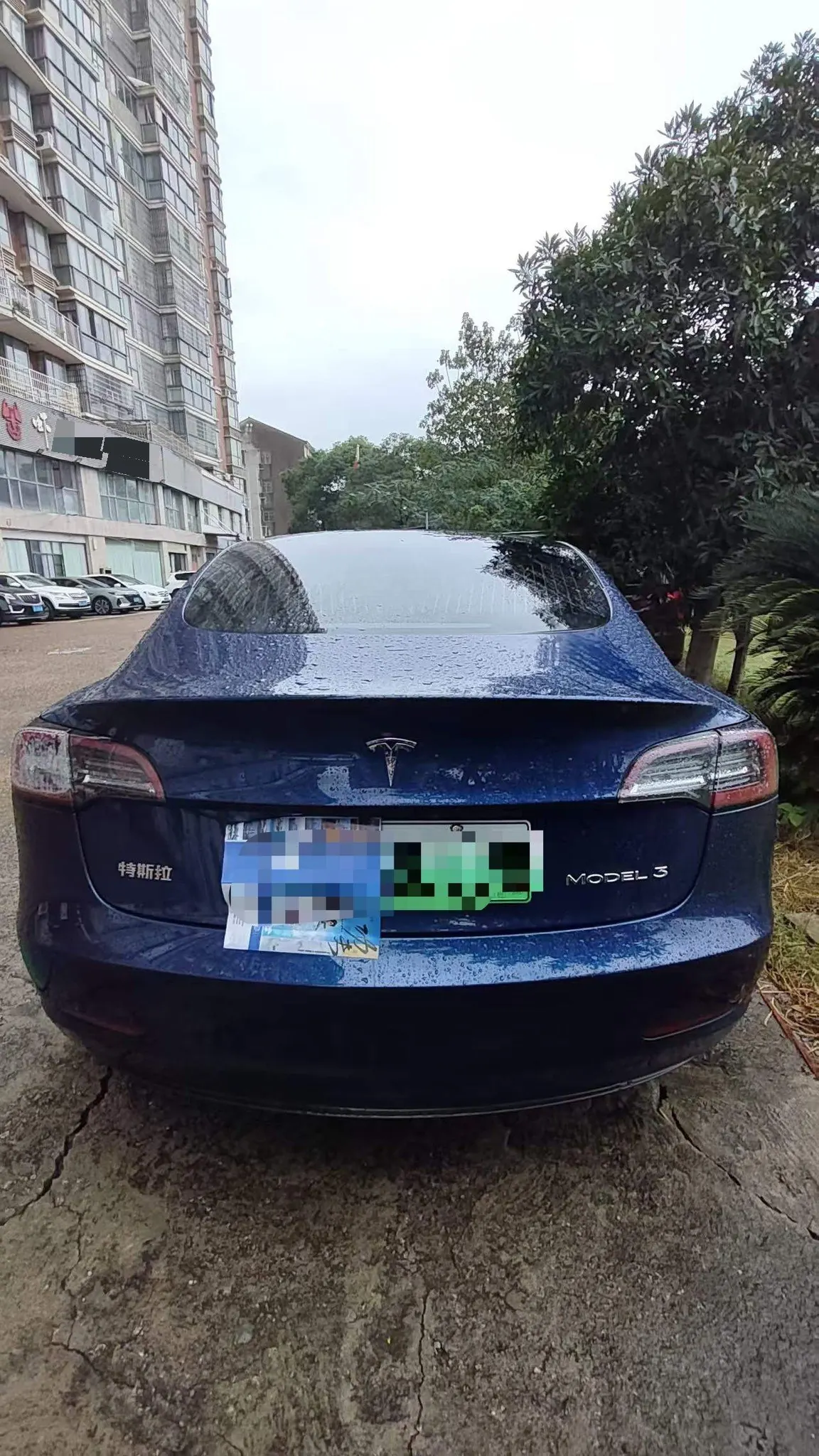 Tesla 2020 Model 3 Standard Endurance Rear Drive Upgraded Automatic Gear 3