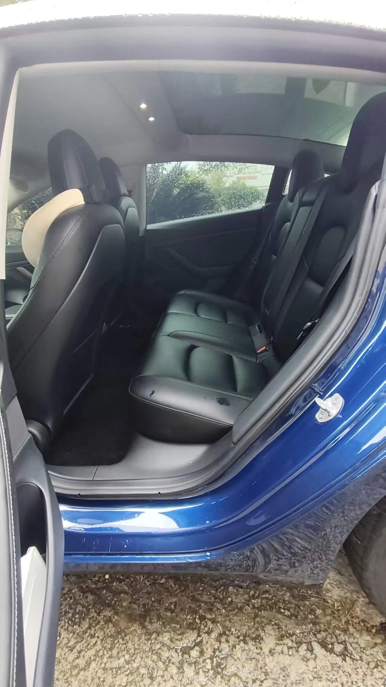 Tesla 2020 Model 3 Standard Endurance Rear Drive Upgraded Automatic Gear 4