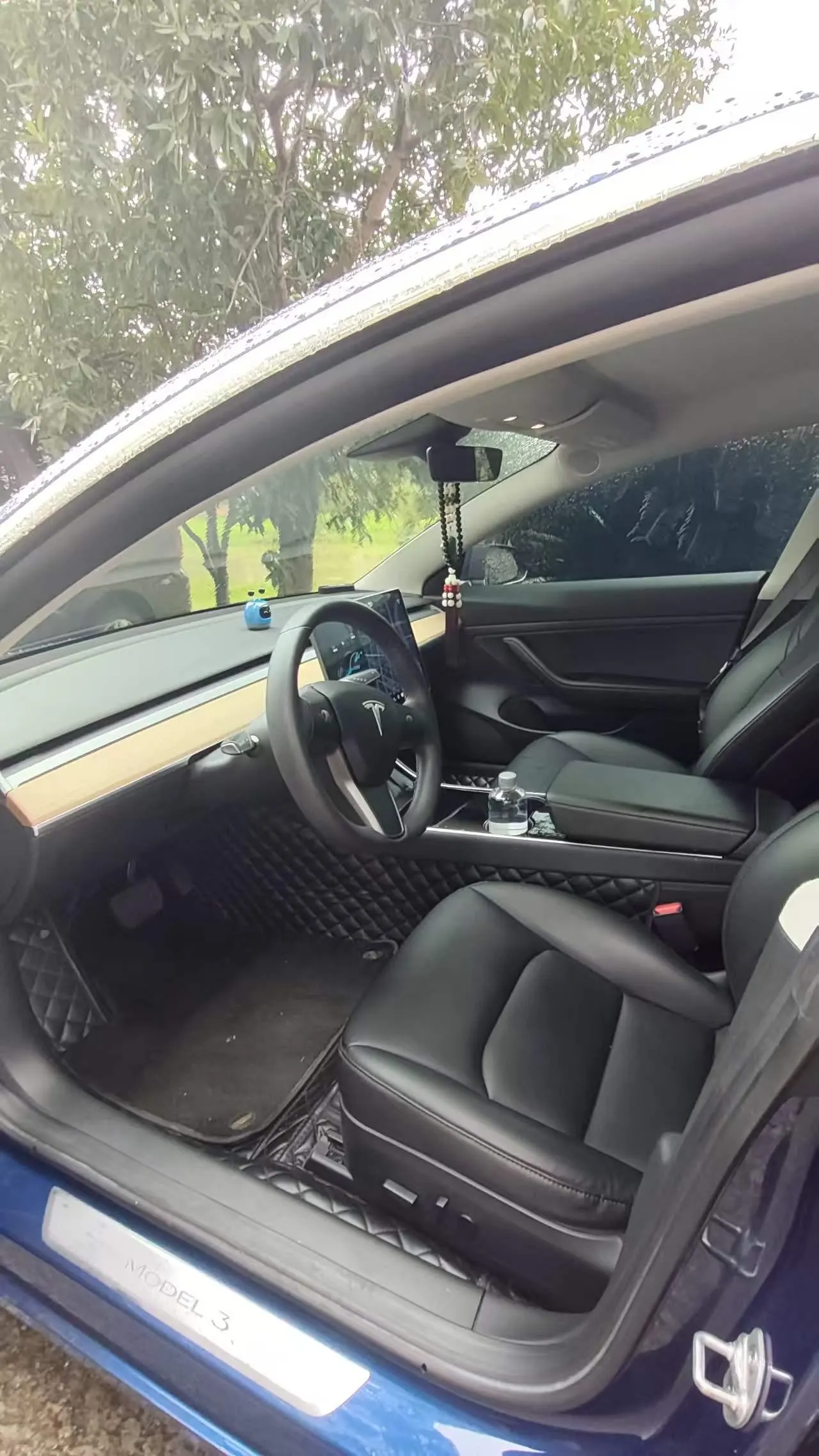 Tesla 2020 Model 3 Standard Endurance Rear Drive Upgraded Automatic Gear 5