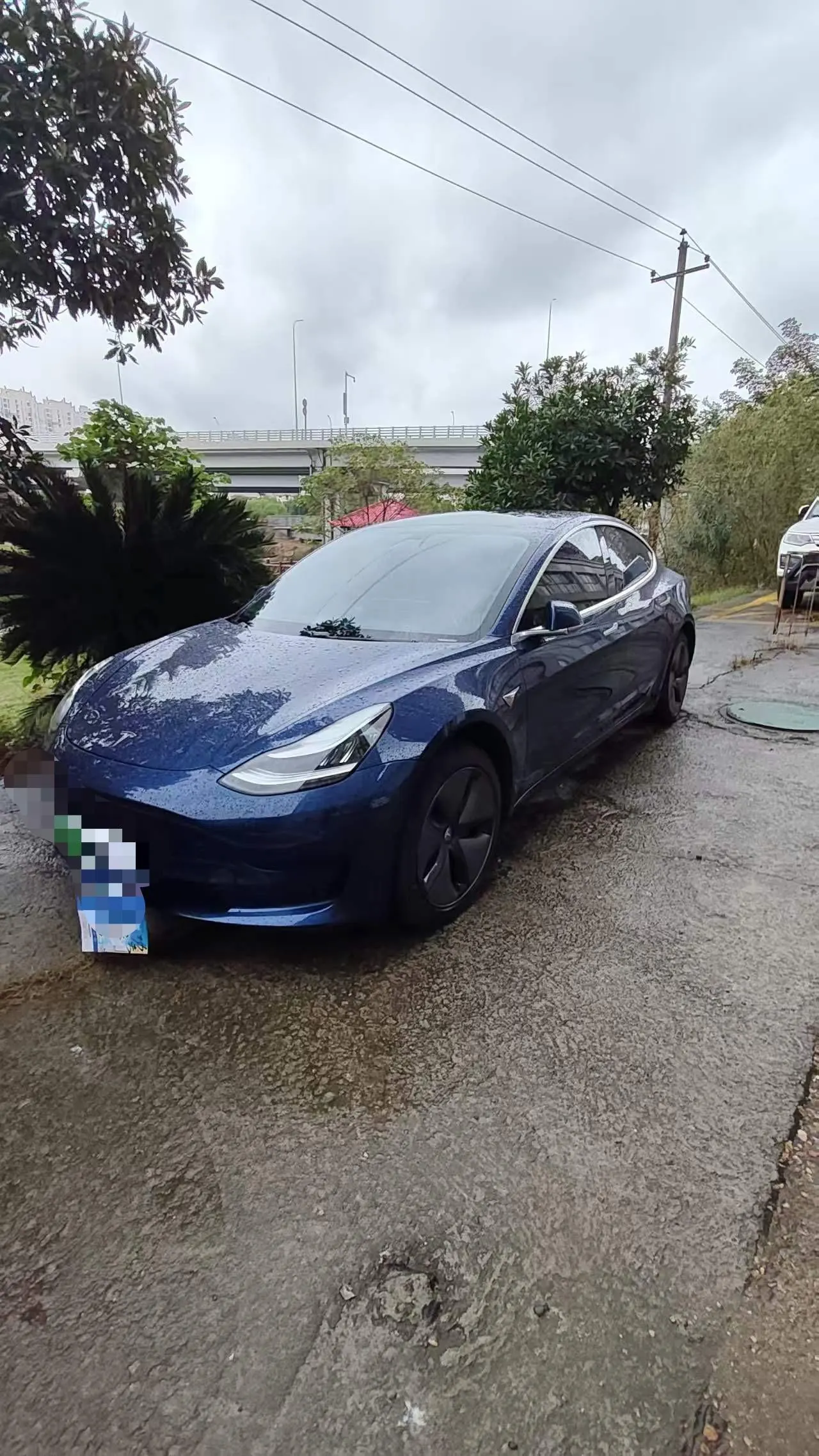 Tesla 2020 Model 3 Standard Endurance Rear Drive Upgraded Automatic Gear 7