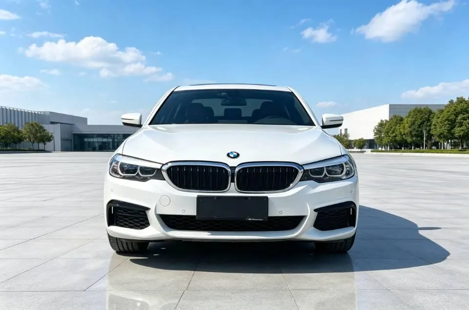 BMW 5 Series 2020 525Li 2.0T M Sports Suit Automatic Gear 2