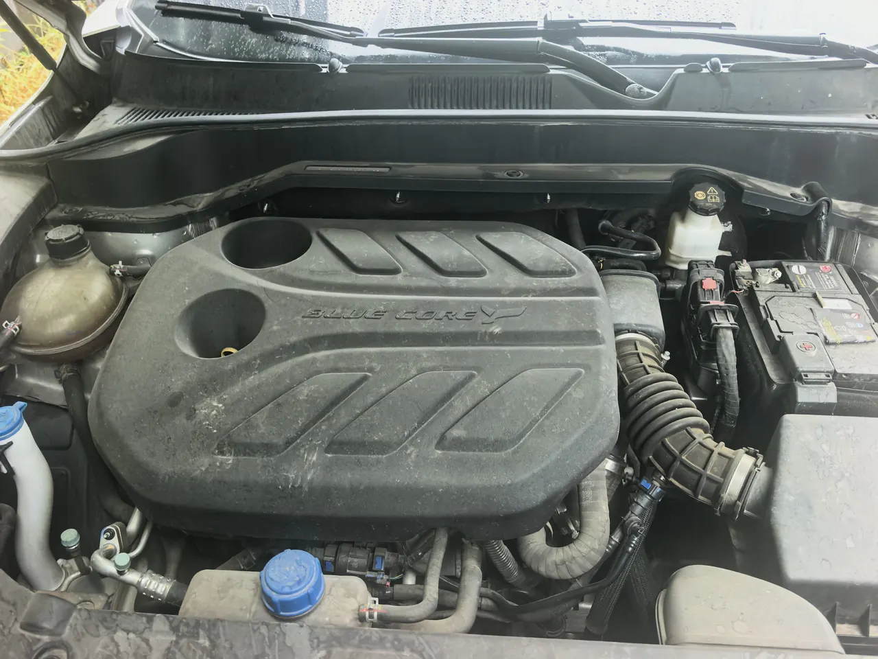 Oshan 2022 Z6 1.5T Blue Whale Smart Automatic Gear 4