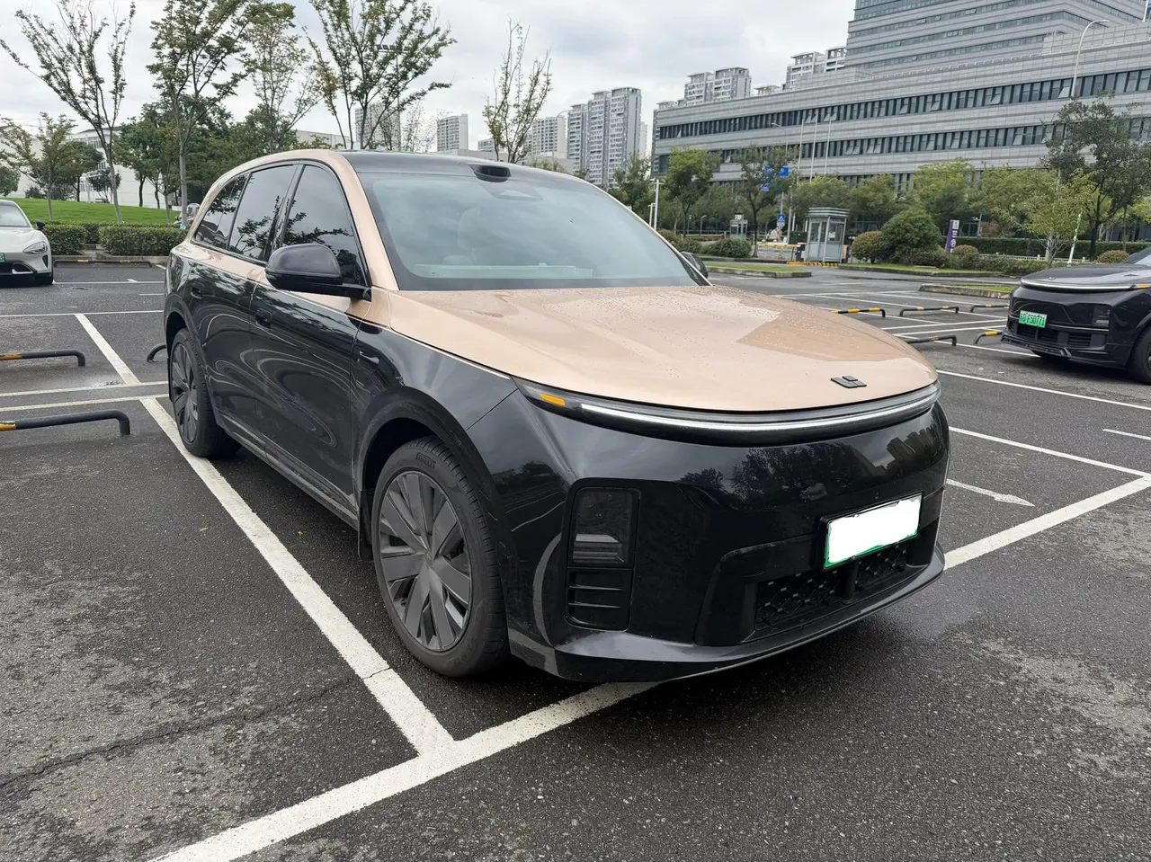 Li 2026 L6 Ultra automatic gear 3