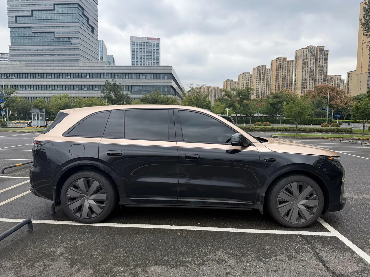 Li 2026 L6 Ultra automatic gear 4