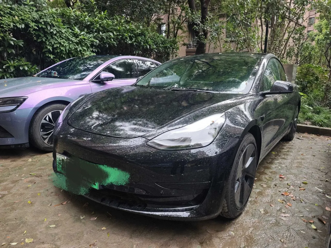 Open image lightbox: Tesla 2021 Model 3 Standard Endurance Rear Drive Upgraded Automatic Gear