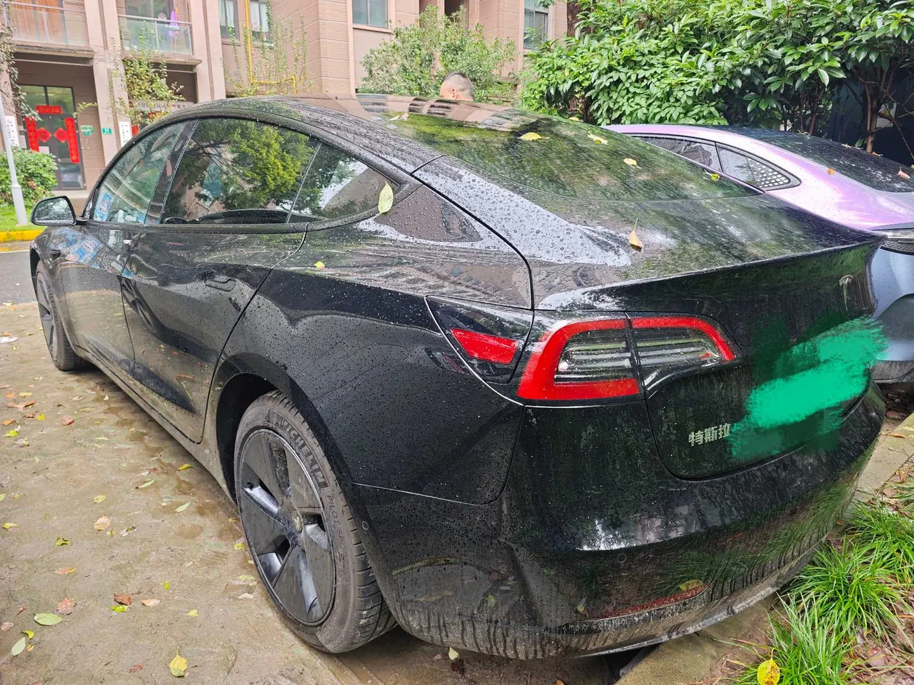 Tesla 2021 Model 3 Standard Endurance Rear Drive Upgraded Automatic Gear 7