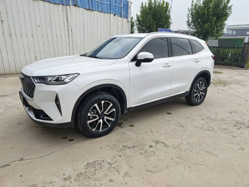 Open image lightbox: Haval 2021 H6 1.5GDIT Max automatic gear