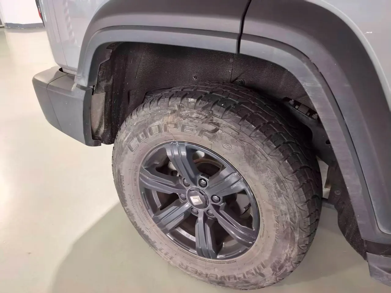 Tank 2021 Tank 300 2.0T Off-road Conqueror Automatic 5