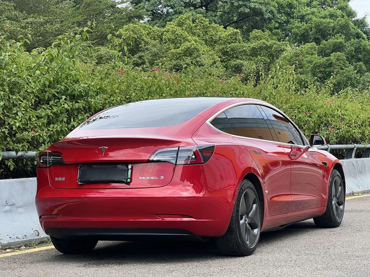 Tesla 2020 Model 3 Standard Endurance Rear Drive Upgraded Automatic Gear 16