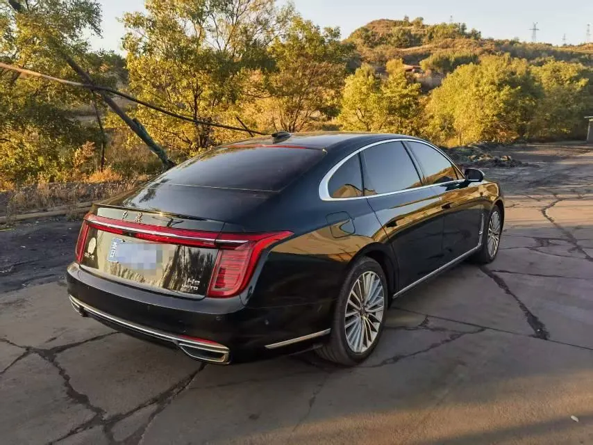 HongQi 2020 H9 48V 2.0T Zhilian Flag Edition Automatic Gear 2