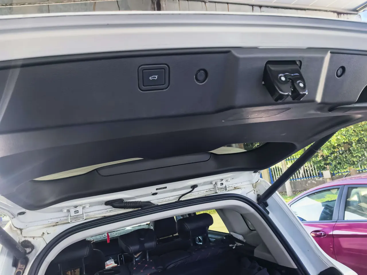 Haval 2021 Big Dogs 1.5T Border Animal Husbandry Wangcai Edition Automatic Gear 6