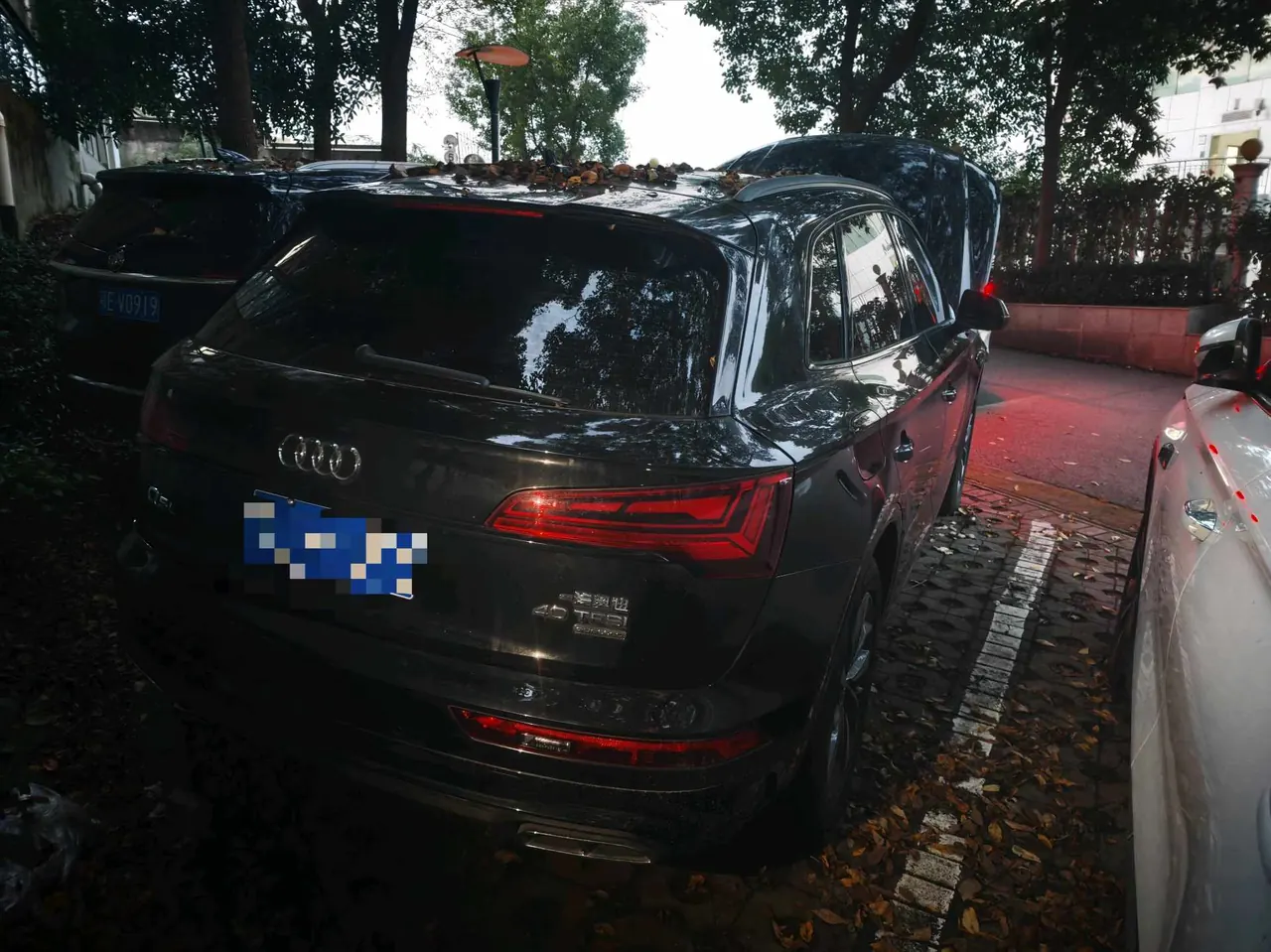 Audi 2024 Q5L 2.0TFSI 40TFSI luxury dynamic automatic 3