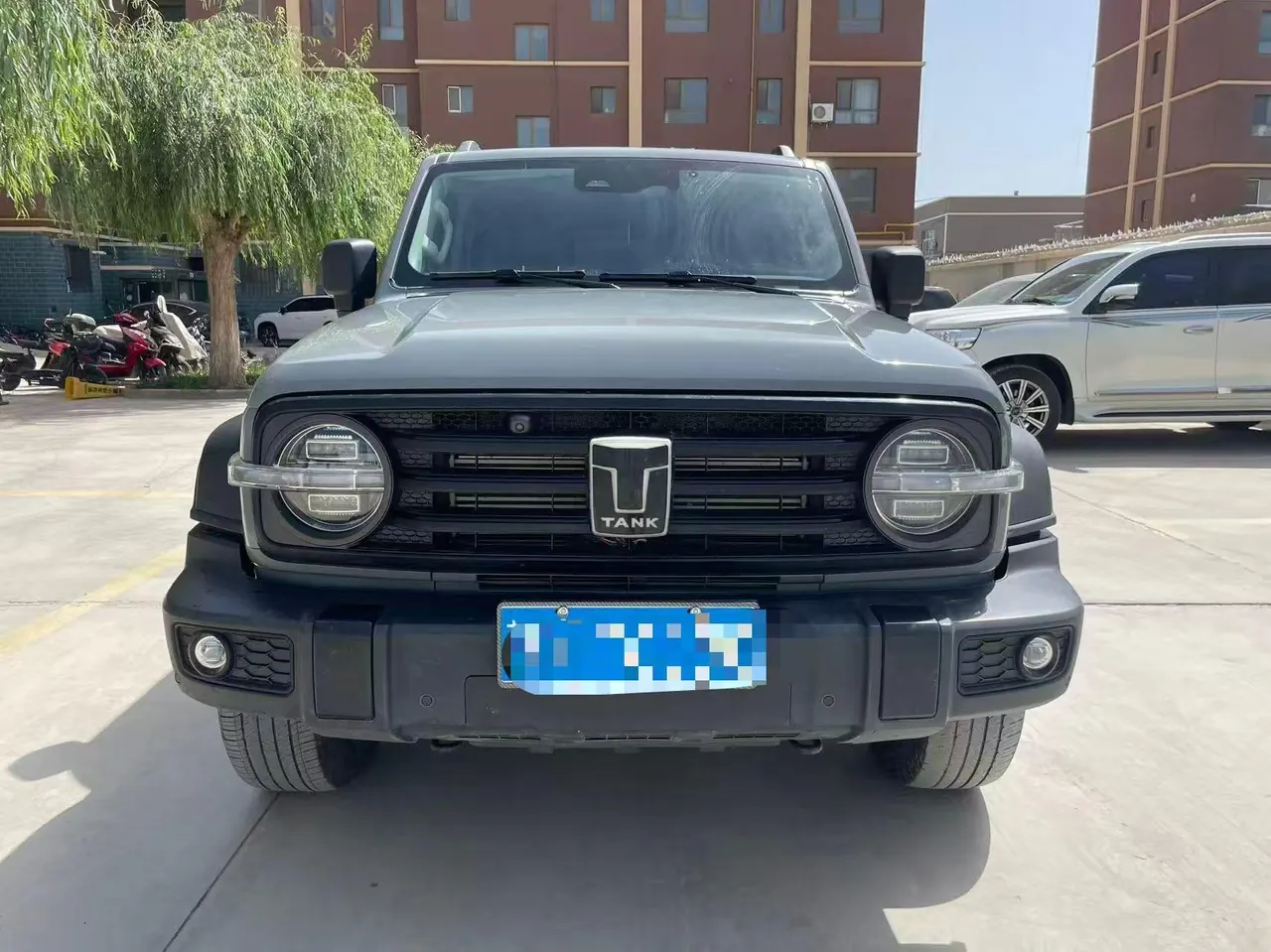 Tank 2021 Tank 300 2.0T Off-road Conqueror Automatic 2