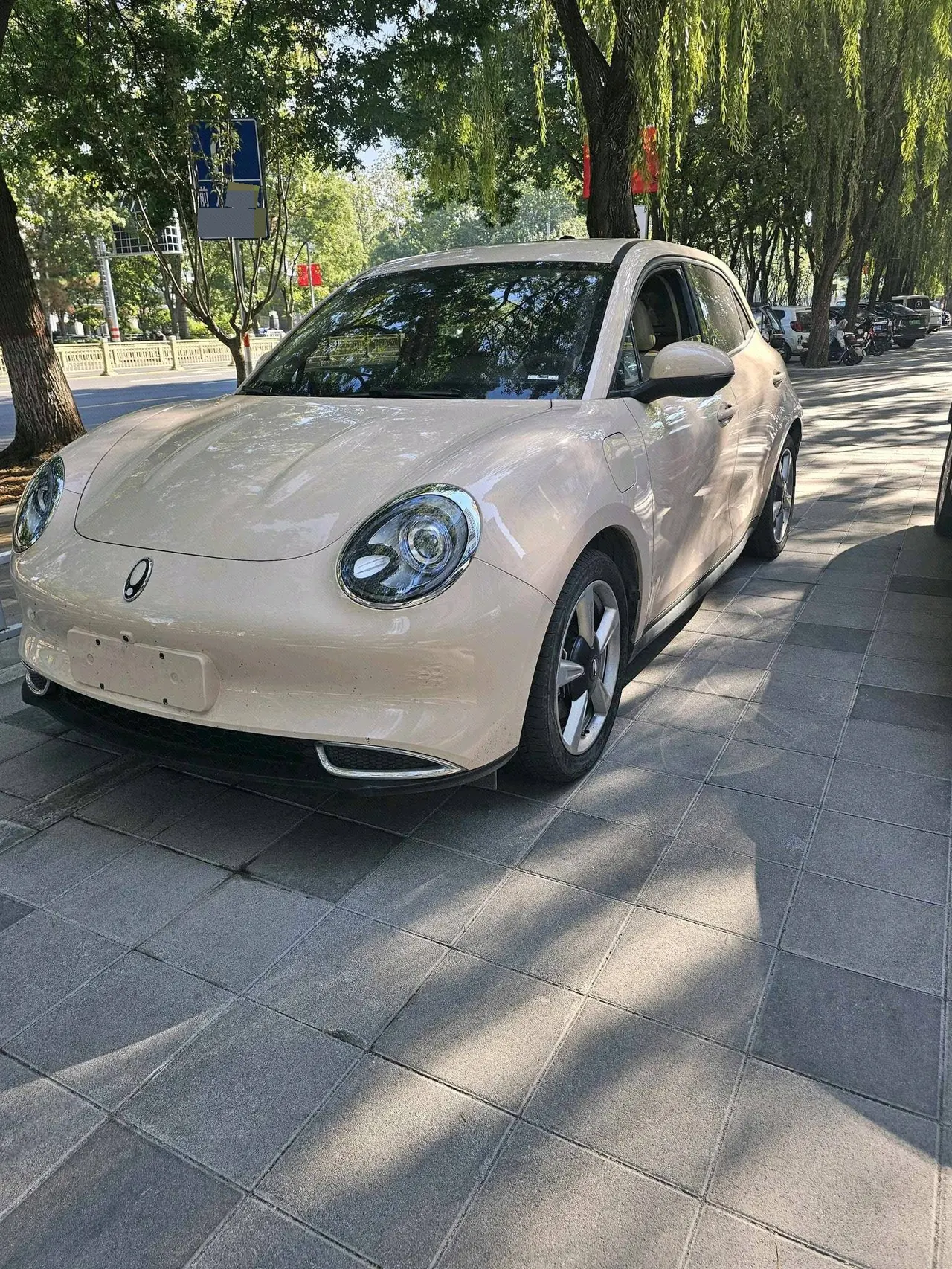 Открыть галерею: Ora 2023 Good Cat 401km Standard Endurance Honorable Lithium Iron Phosphate Automatic Gear