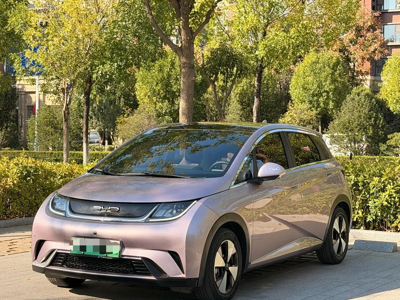 Открыть галерею: BYD 2023 Dolphin 420km Fashion Edition Automatic