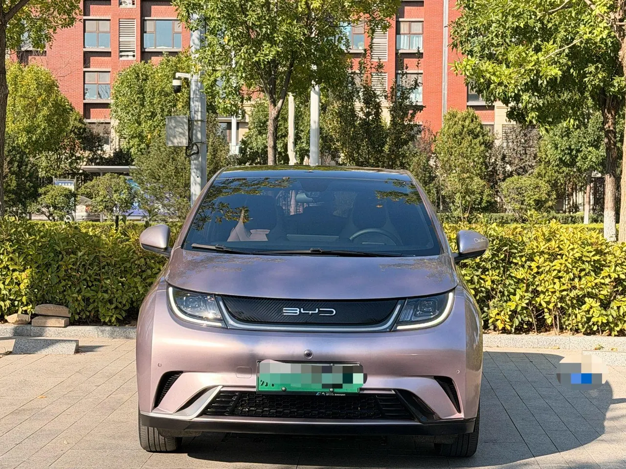 BYD 2023 Dolphin 420km Fashion Edition Automatic 2