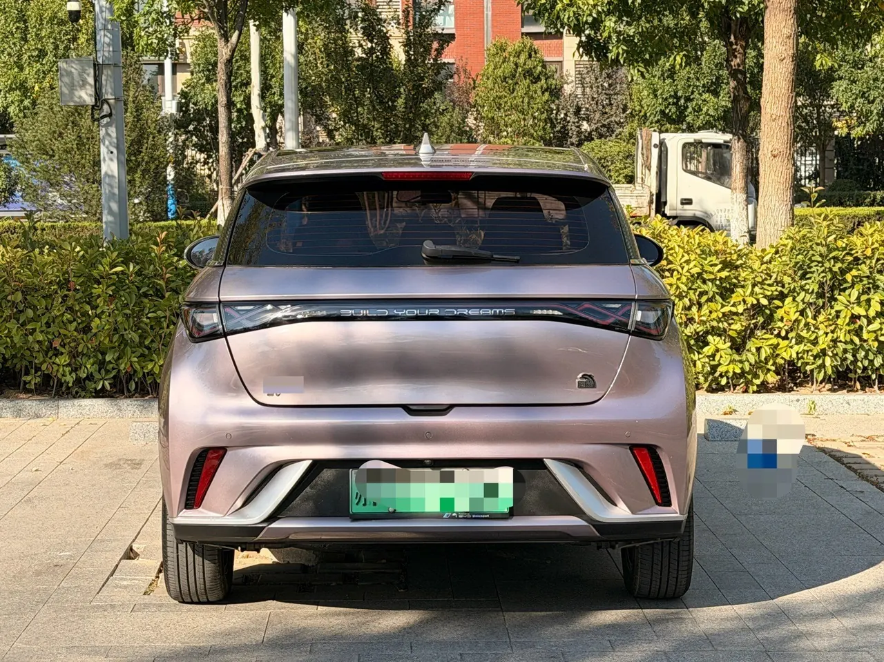 BYD 2023 Dolphin 420km Fashion Edition Automatic 8