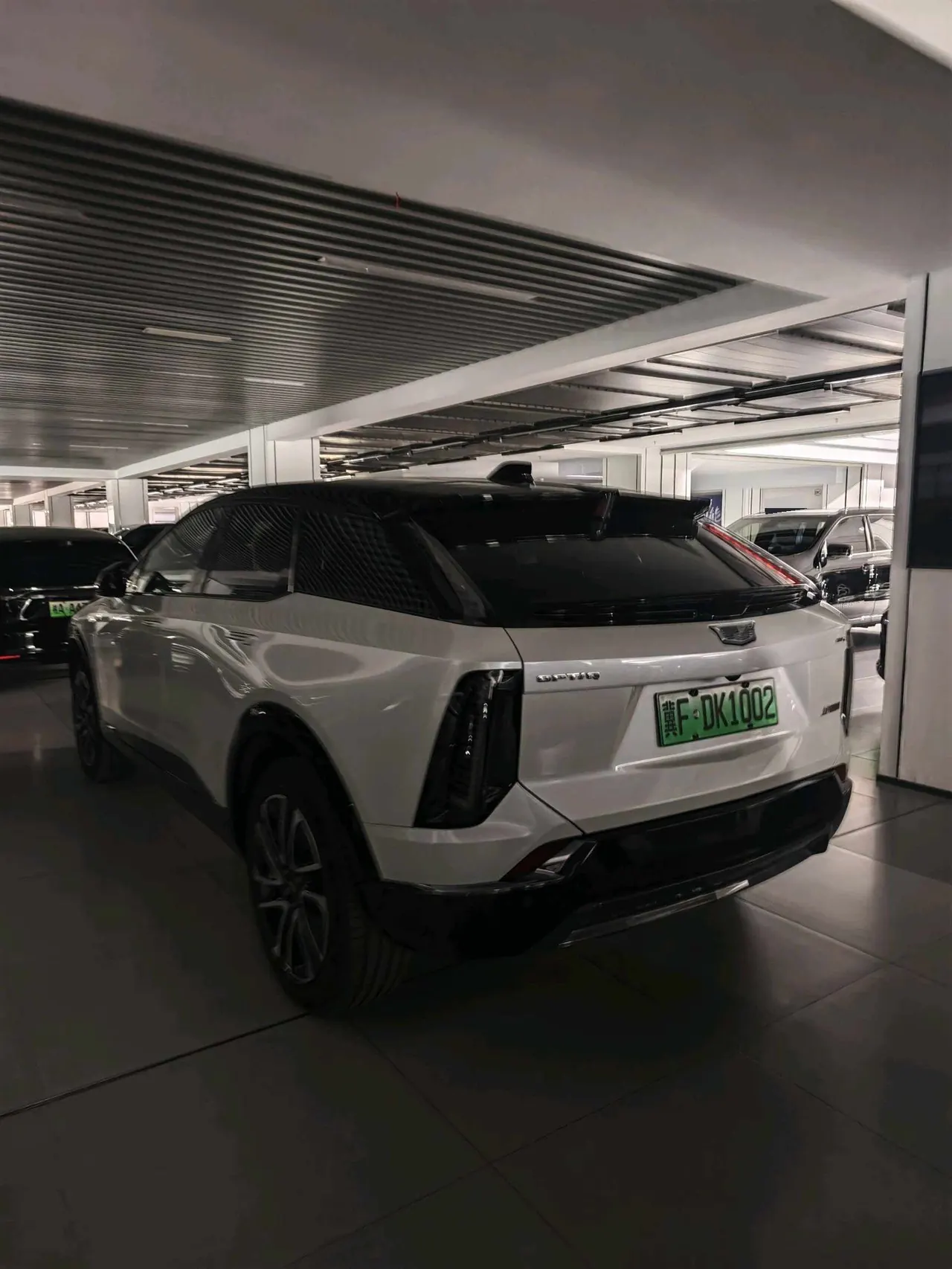 Cadillac 2024 IQ (Ao Ge) 4-wheel Drive Long Endurance Edition Automatic Gear 4