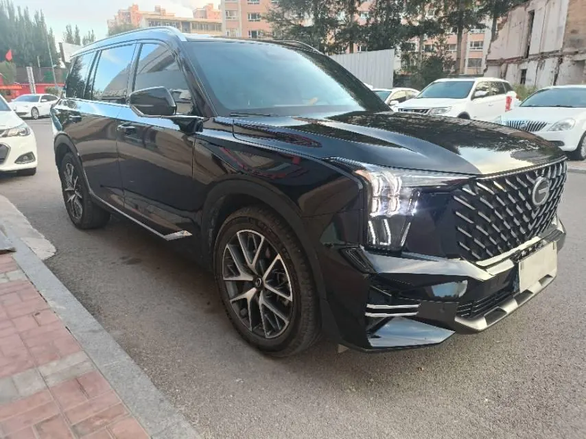 Trumpchi 2025 GS8 2.0TGDI Leading Series, Two-Wheel Drive Luxury Version, 5-Seater, Automatic Transmission 3