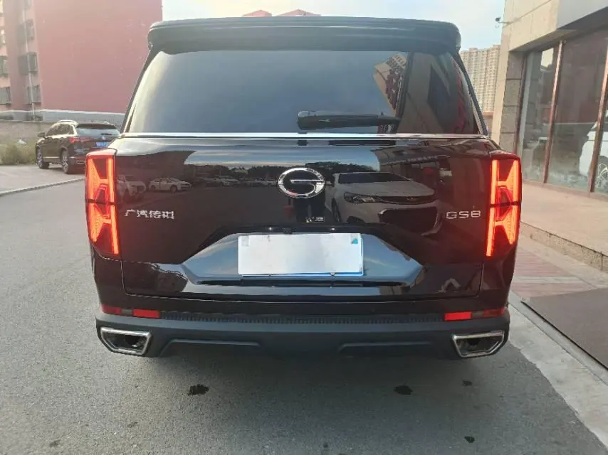 Trumpchi 2025 GS8 2.0TGDI Leading Series, Two-Wheel Drive Luxury Version, 5-Seater, Automatic Transmission 8