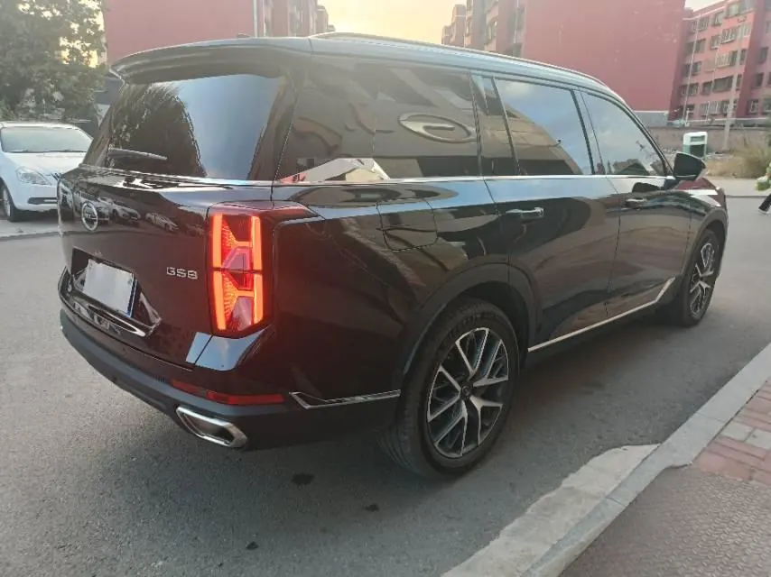 Trumpchi 2025 GS8 2.0TGDI Leading Series, Two-Wheel Drive Luxury Version, 5-Seater, Automatic Transmission 9