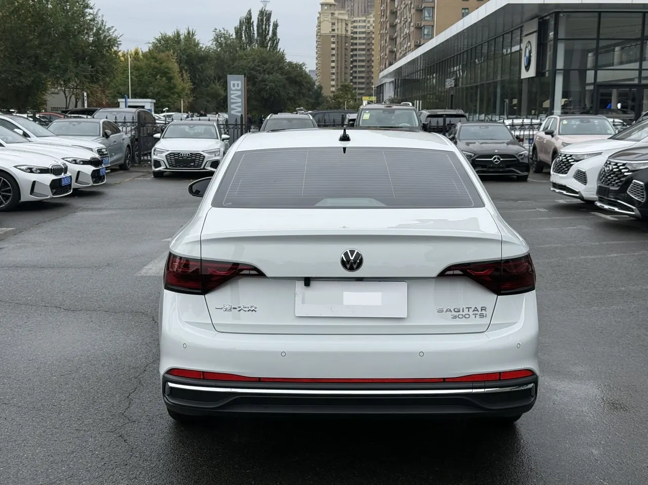 Volkswagen 2025 Sagittarius 1.5TSI 300TSI Exceed Edition (Modified) Automatic Gear 5