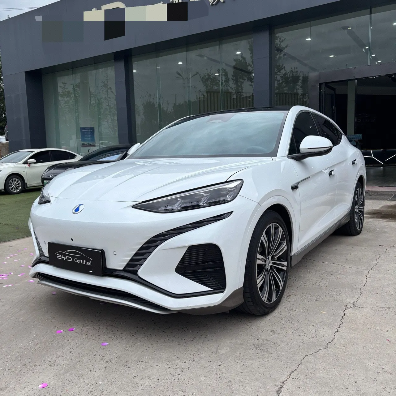 Denza 2023 Denza N7 Long Endurance Edition Automatic Transmission - View 1