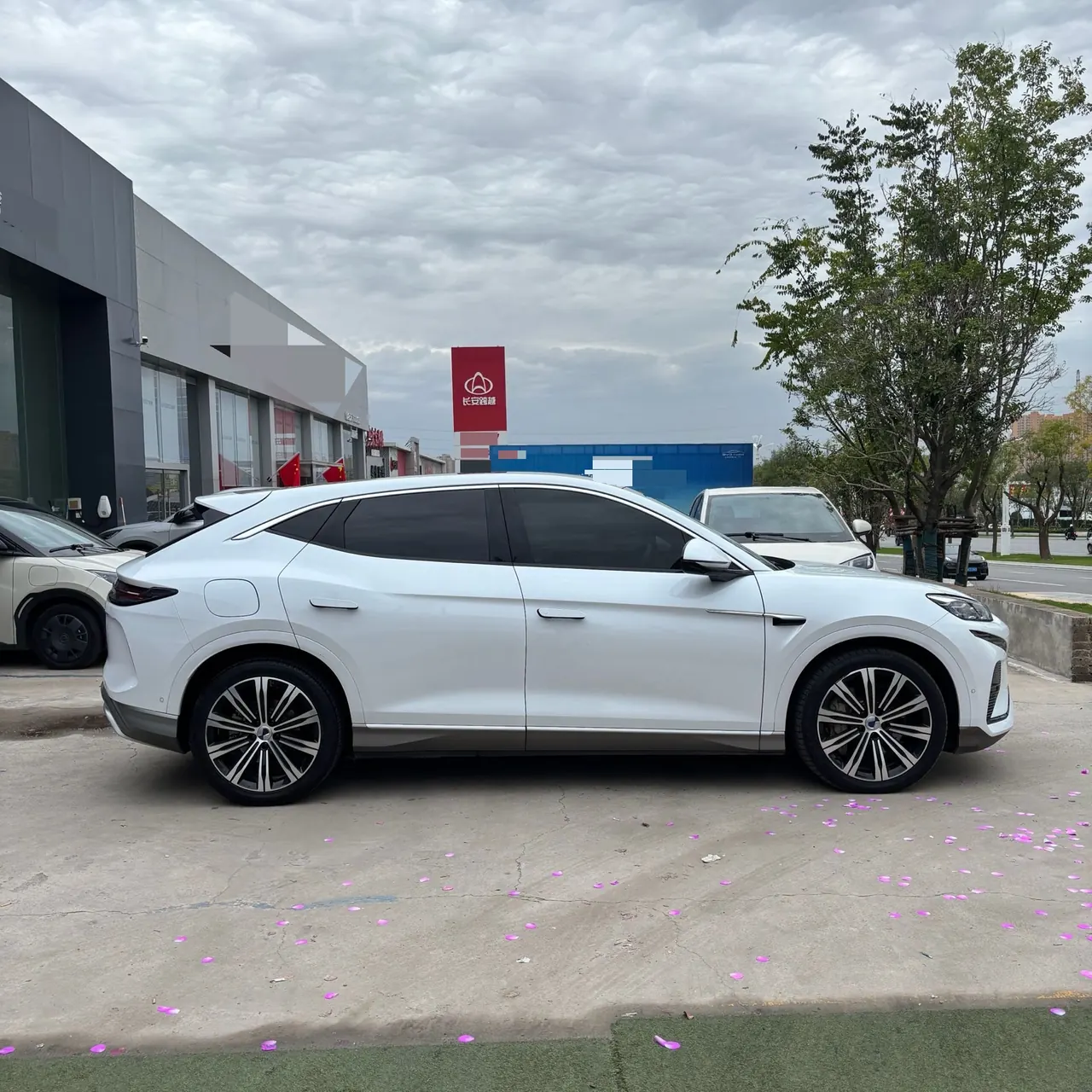 Denza 2023 Denza N7 Long Endurance Edition Automatic Transmission 11