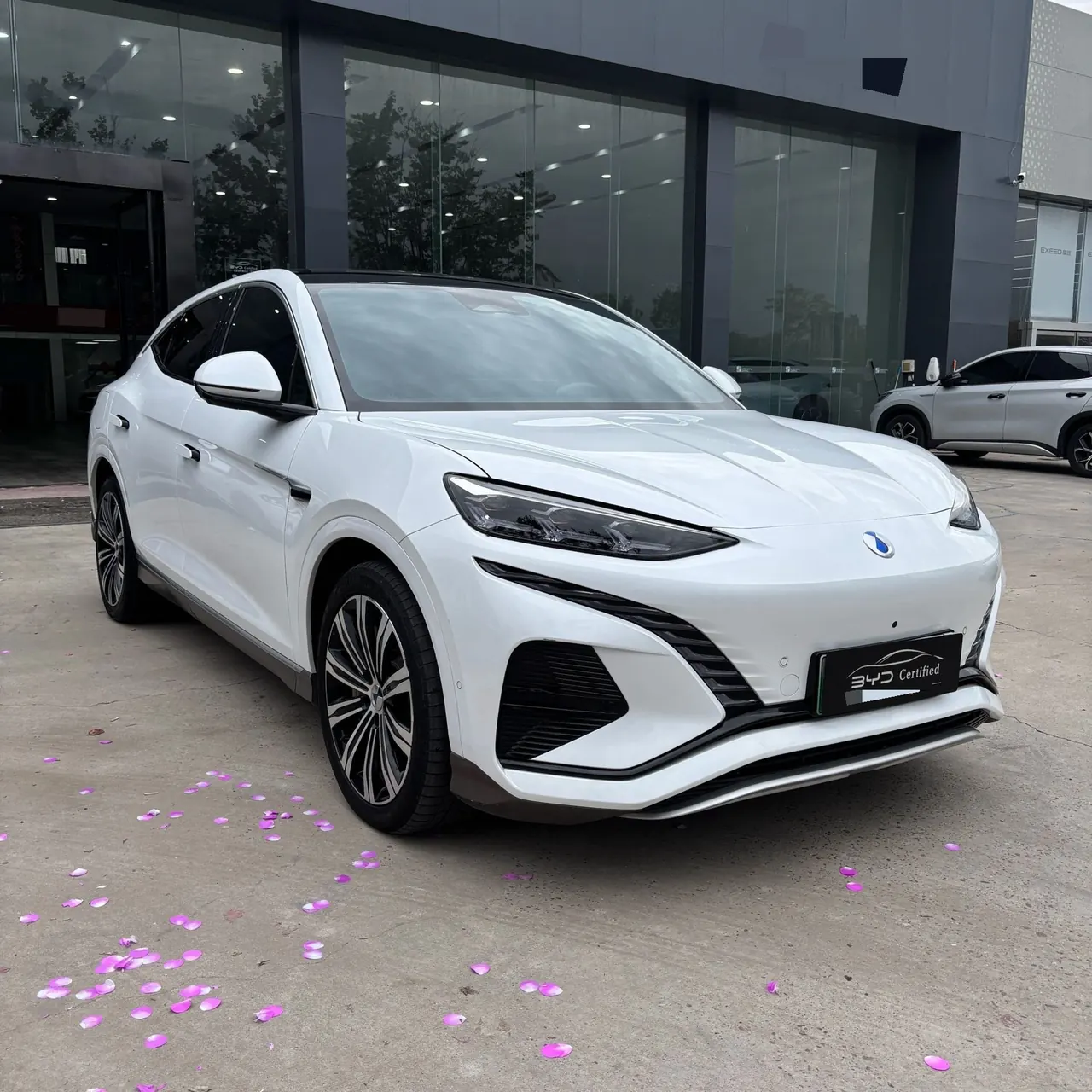 Denza 2023 Denza N7 Long Endurance Edition Automatic Transmission 2