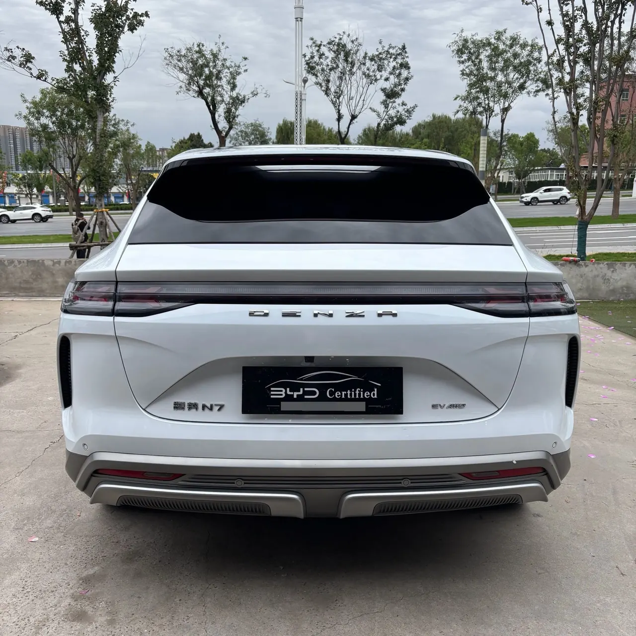 Denza 2023 Denza N7 Long Endurance Edition Automatic Transmission 8