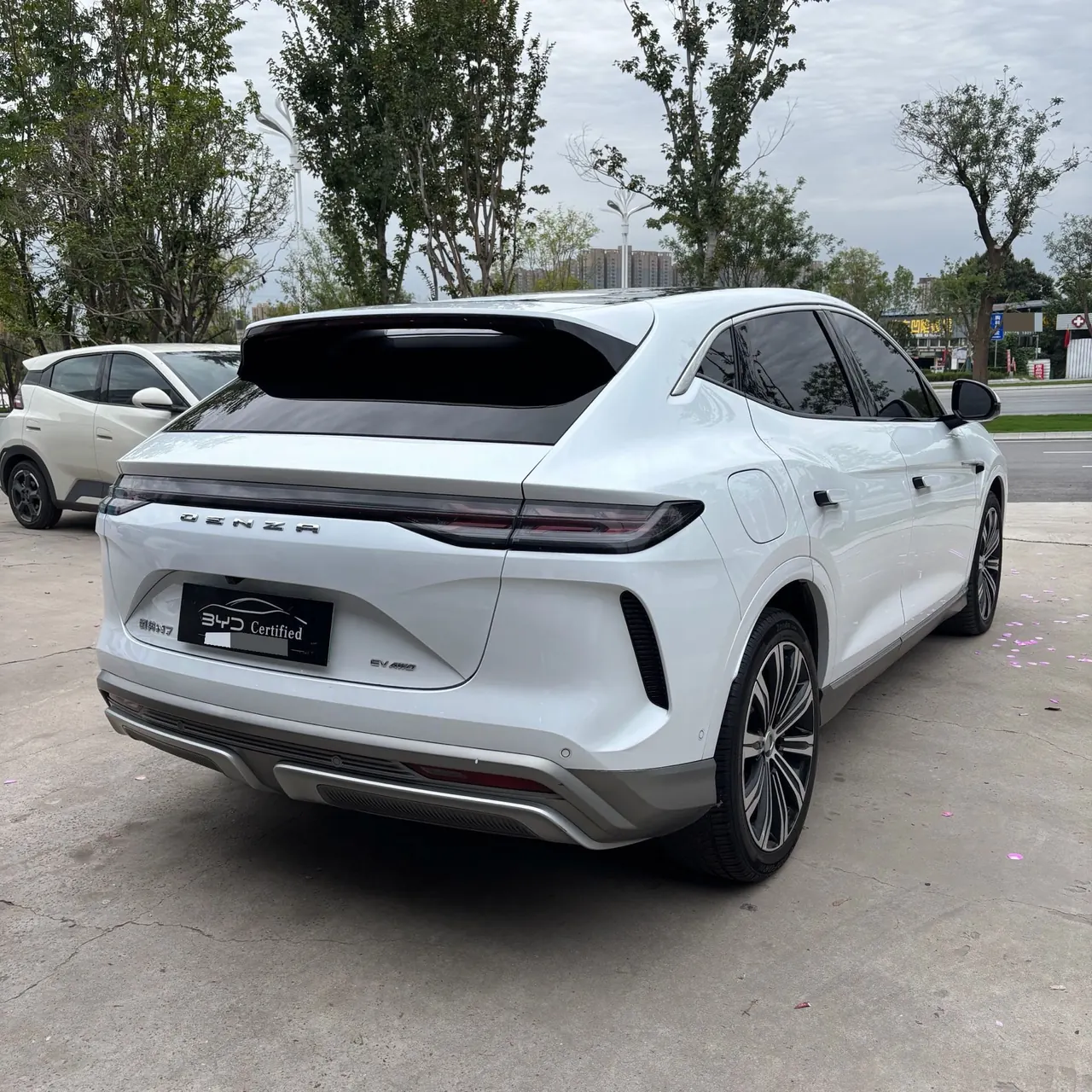 Denza 2023 Denza N7 Long Endurance Edition Automatic Transmission 9