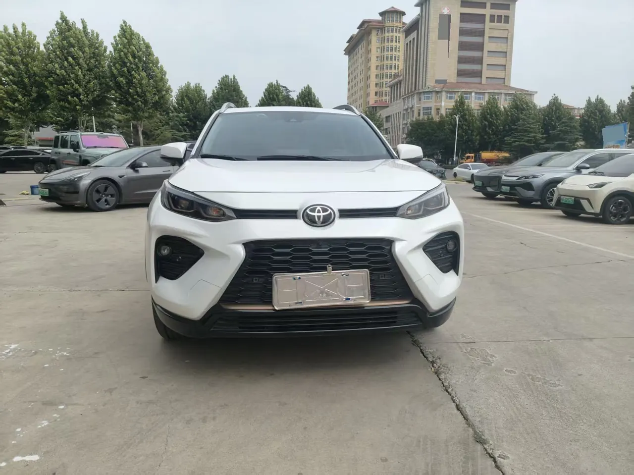 Toyota 2024 Willanda 2.0 Stepless Two-Drive Luxury PLUS Edition Automatic Gear 3