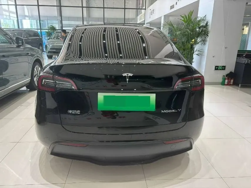 Tesla 2022 Model Y rear-wheel drive version automatic transmission 8