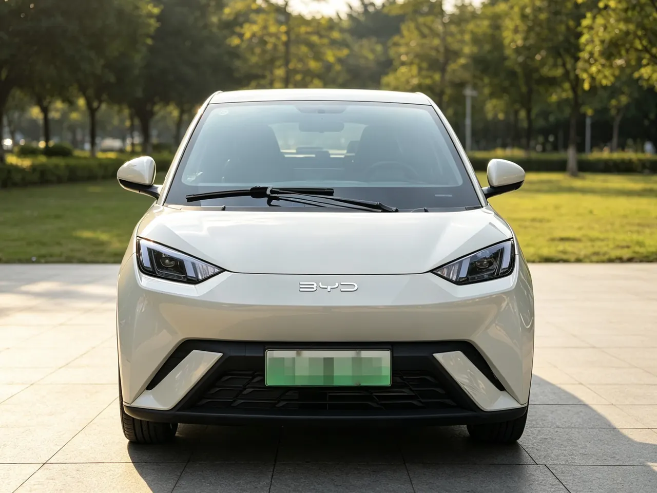 BYD 2023 seagull flying version automatic gear 2