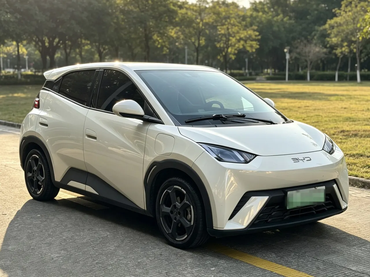 BYD 2023 seagull flying version automatic gear 3