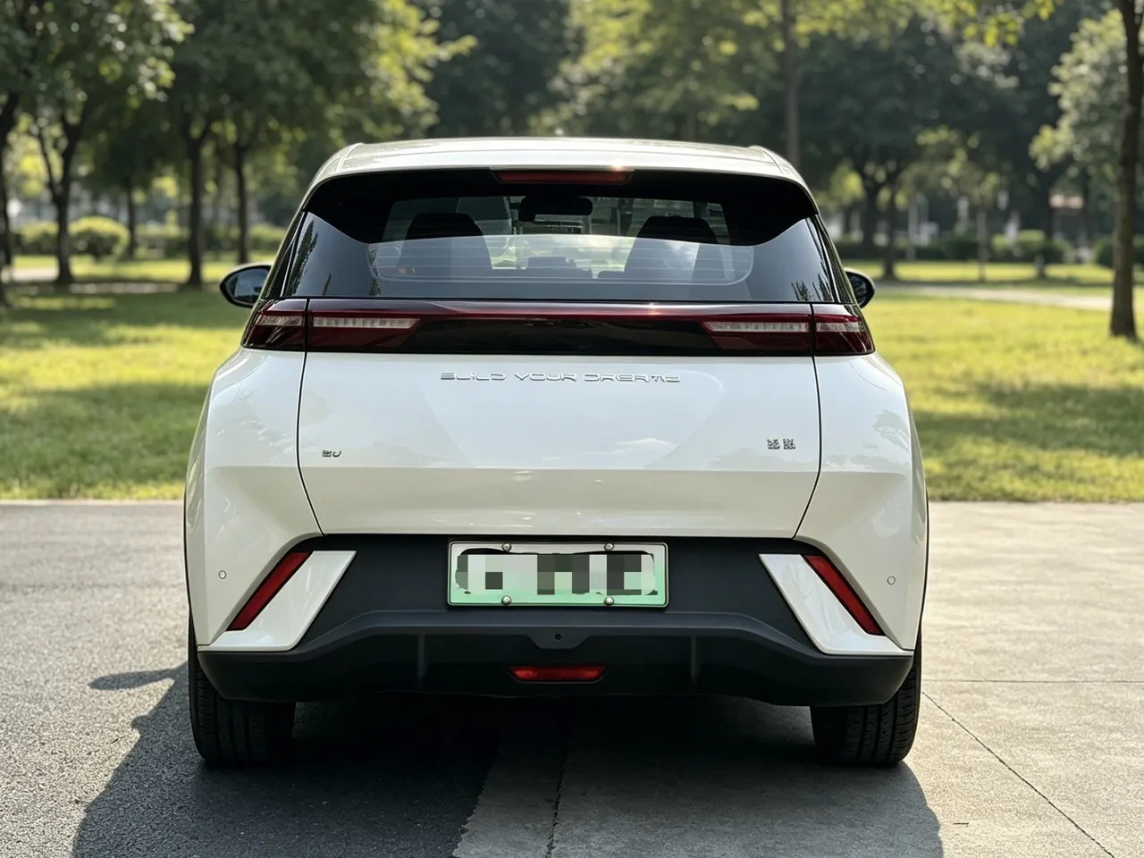 BYD 2023 seagull flying version automatic gear 6