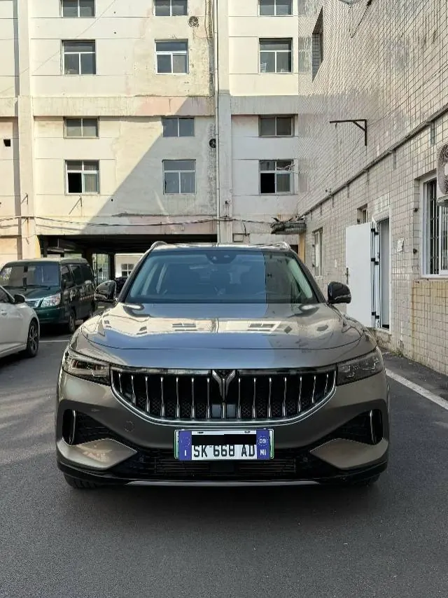 Voyah 2021 FREE 1.5T Four-wheel Drive Range-extended Automatic Gear 2