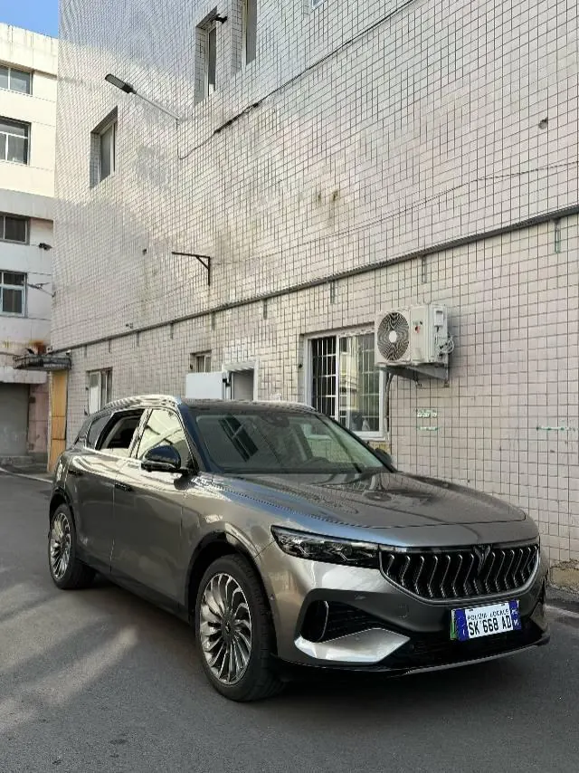 Voyah 2021 FREE 1.5T Four-wheel Drive Range-extended Automatic Gear 3
