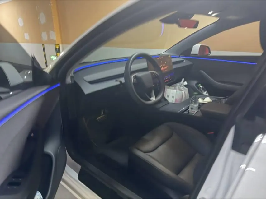 Tesla 2025 Model 3 Rear-Wheel-Drive Edition (facelift) Automatic Transmission 2
